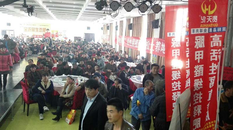 活动展示三