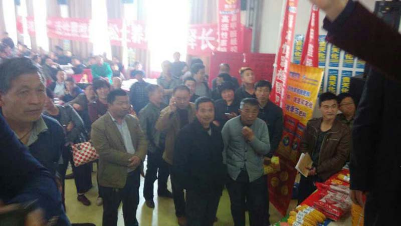 活动展示六